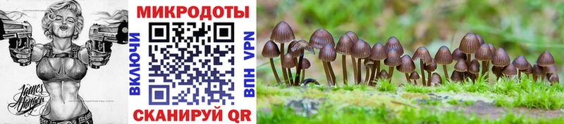 Псилоцибиновые грибы прущие грибы  Купить закладки  Игра 